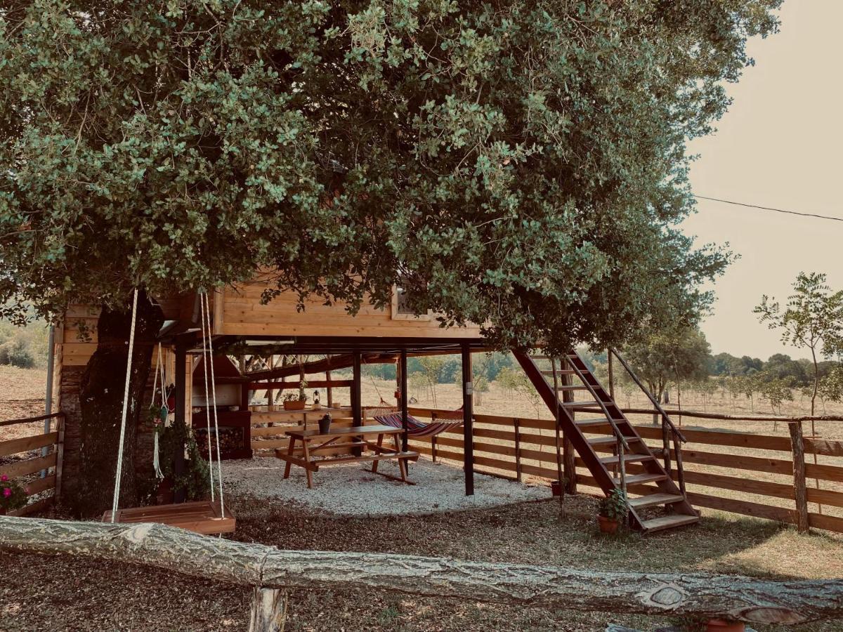יואנינה The Treevilla מראה חיצוני תמונה